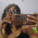 Imagen de Gianella Ailen Urrutia